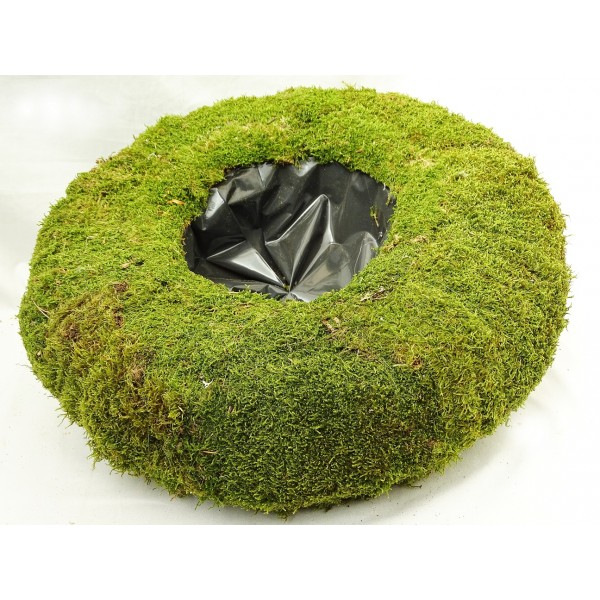 Moss Decoration Products 2