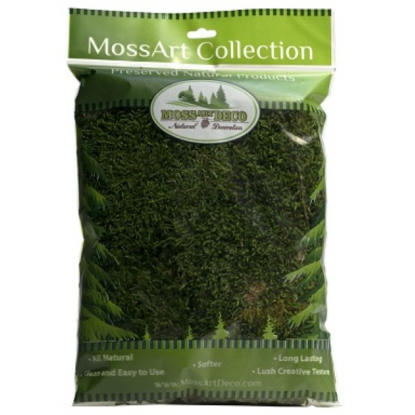 Flat Moss Bag